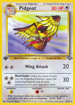Pidgeot (JU 24)