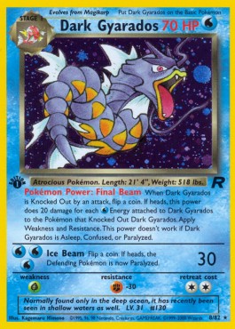 Dunkles Garados (TR 8)