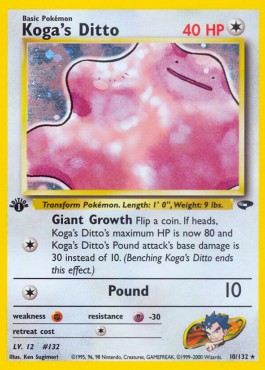 Kogas Ditto (GC 10)