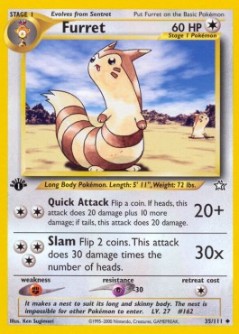 Furret (NG 35)