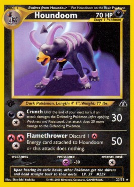 Houndoom (NDI 23)