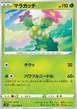 Maractus (s1W 3)
