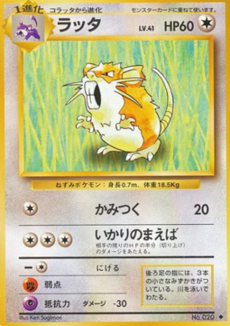 Raticate (EXP)