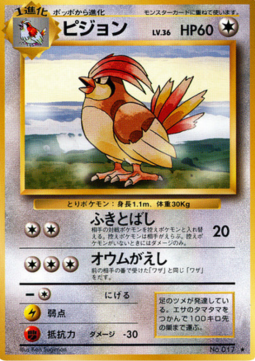 Pidgeotto (EXP)