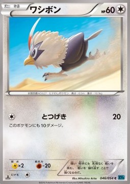 Rufflet (XY11c 046)