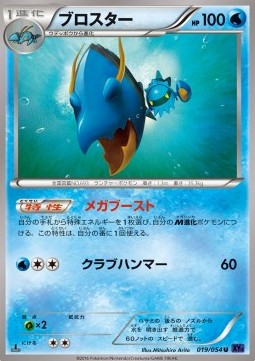 Wummer (XY11f 019)