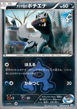 Team Aqua's Poochyena (CP1 016)