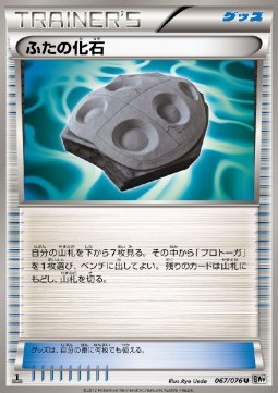 Cover Fossil (BW9 067)