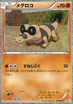 Sandile (CS1 008)
