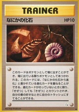 Geheimnis-Fossil (MFO)