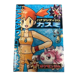 Hanada City Gym Kasumi