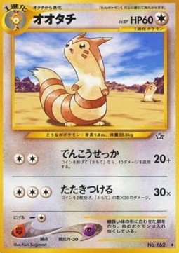 Furret (N1)