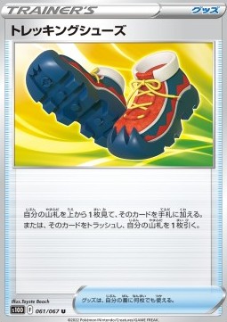 Trekking Shoes (s10D 061)
