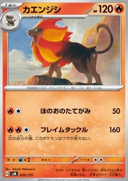 Pyroleo (svM 026)
