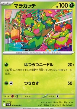 Maractus (sv11B 008)