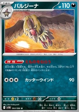 Mandibuzz (sv11B 064)