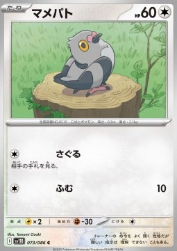 Pidove (sv11B 073)
