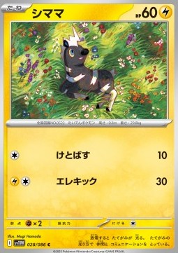 Blitzle (sv11W 028)