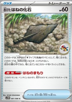 Antique Plume Fossil (sv11W 081)