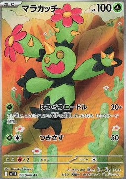Maractus (sv11B 093)