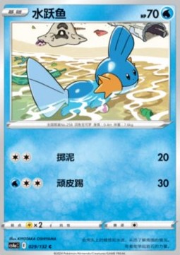 Mudkip (CS4aC 029)