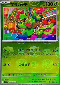 Maractus (xsv11B 008)