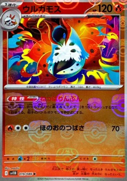 Volcarona (xsv11B 019)