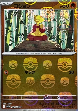 Mienfoo (xsv11W 049)