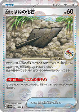 Antique Plume Fossil (xsv11W 081)