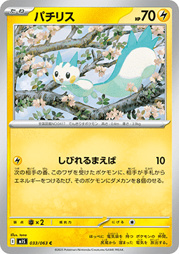 Pachirisu (m1S 033)