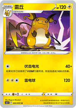 Raichu (CS6.5C 022)