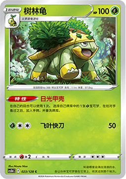 Grotle (CS5bC 023)