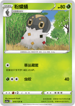 Puponcho (CS3aC 015)