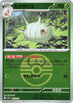 Schaloko (xm2a 005)