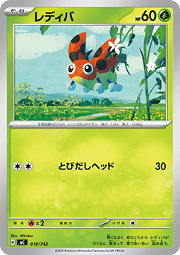 Ledyba (mC 019)