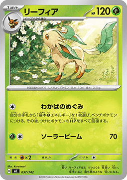 Folipurba (mC 037)