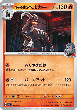 Team Rockets Hundemon (mC 100)