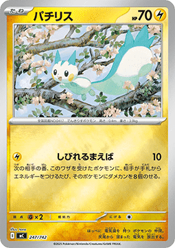 Pachirisu (mC 247)