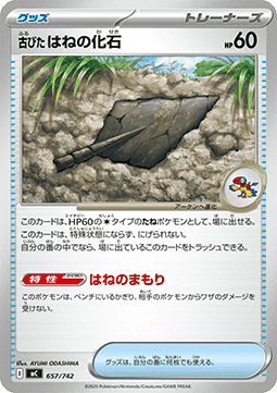 Antique Plume Fossil (mC 657)