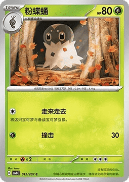 Puponcho (CSV8C 012)
