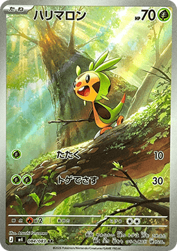 Chespin (m4 084)