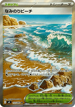 Surfing Beach (m4 112)