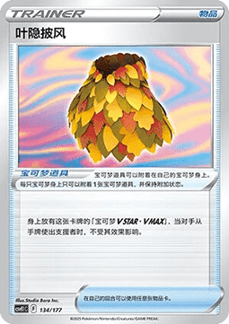 Poncho de Camouflage Feuillu (CSVE1C 134)