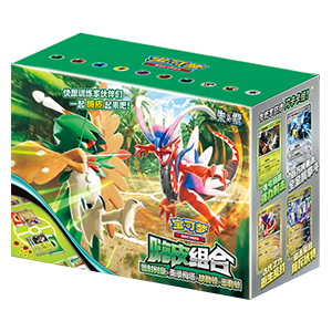 CSVH4C: Happy Set Decidueye & Melmetal & Koraidon & Miraidon Box Set