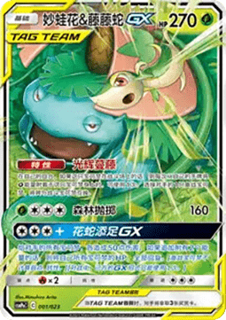 Venusaur & Snivy GX (CSMPC a001)