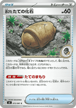 Antique Armor Fossil (m5 072)