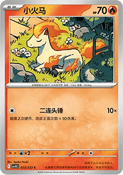 Ponita (CSV10C 023)