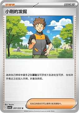 Brock's Scouting (CSV10C 207)