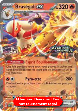 Blaziken ex (xJTG 024)