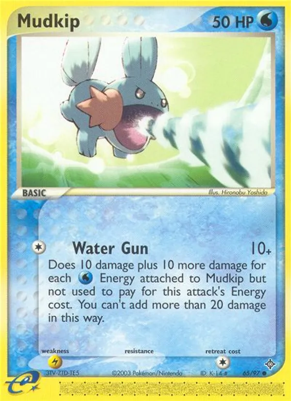Mudkip (DR 65)